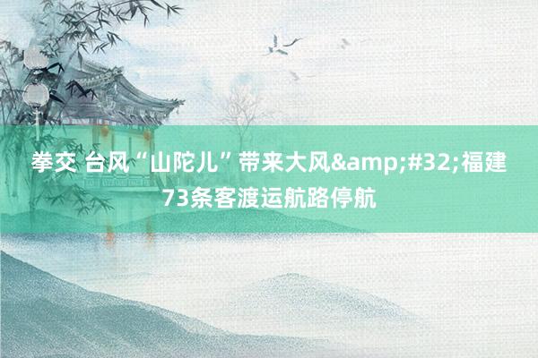 拳交 台风“山陀儿”带来大风&#32;福建73条客渡运航路停航
