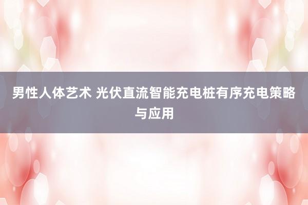 男性人体艺术 光伏直流智能充电桩有序充电策略与应用