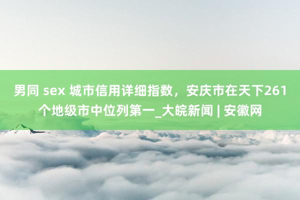 男同 sex 城市信用详细指数，安庆市在天下261个地级市中位列第一_大皖新闻 | 安徽网