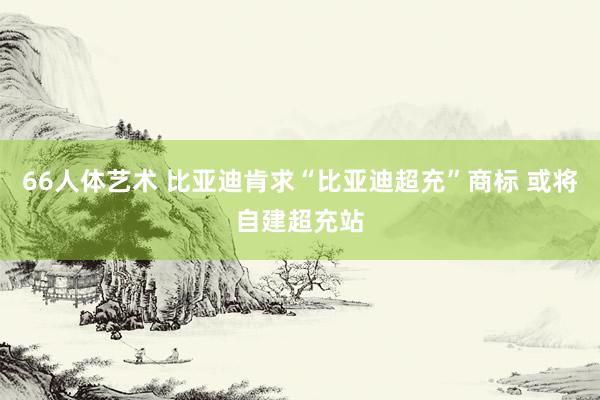 66人体艺术 比亚迪肯求“比亚迪超充”商标 或将自建超充站