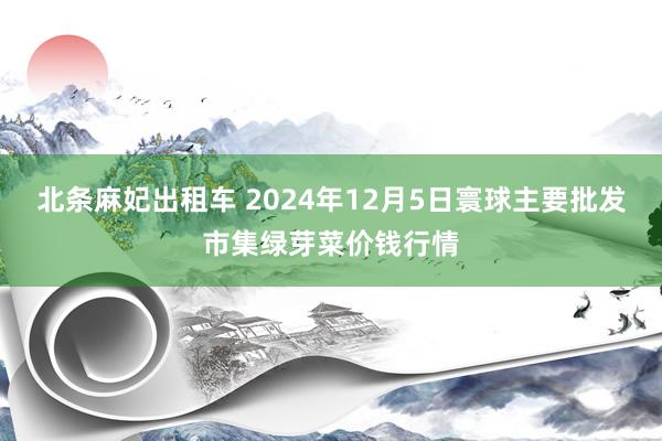 北条麻妃出租车 2024年12月5日寰球主要批发市集绿芽菜价钱行情