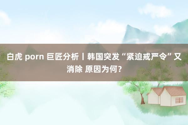 白虎 porn 巨匠分析丨韩国突发“紧迫戒严令”又消除 原因为何？