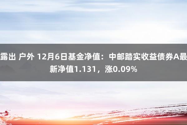露出 户外 12月6日基金净值：中邮踏实收益债券A最新净值1.131，涨0.09%