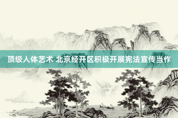 顶级人体艺术 北京经开区积极开展宪法宣传当作