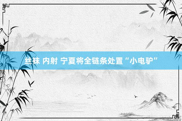 丝袜 内射 宁夏将全链条处置“小电驴”