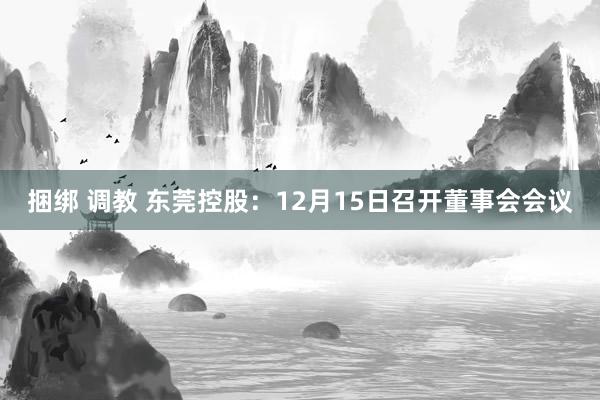 捆绑 调教 东莞控股：12月15日召开董事会会议