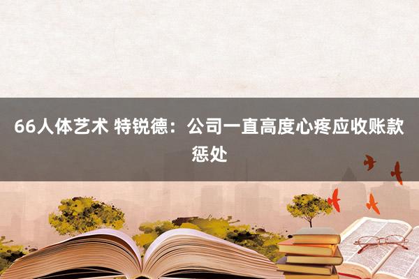 66人体艺术 特锐德：公司一直高度心疼应收账款惩处