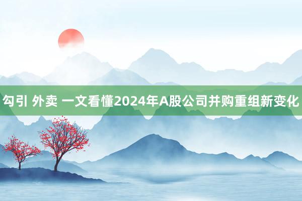 勾引 外卖 一文看懂2024年A股公司并购重组新变化