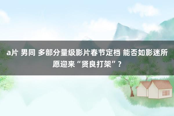a片 男同 多部分量级影片春节定档 能否如影迷所愿迎来“贤良打架”？
