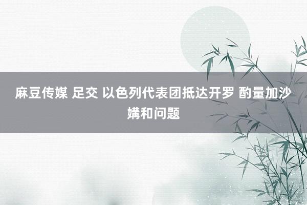 麻豆传媒 足交 以色列代表团抵达开罗 酌量加沙媾和问题