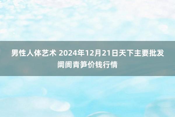 男性人体艺术 2024年12月21日天下主要批发阛阓青笋价钱行情