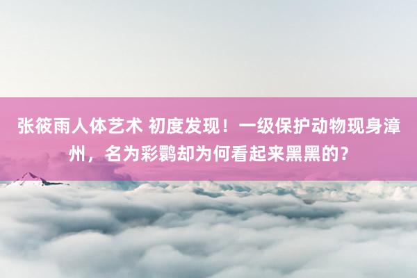 张筱雨人体艺术 初度发现！一级保护动物现身漳州，名为彩鹮却为何看起来黑黑的？