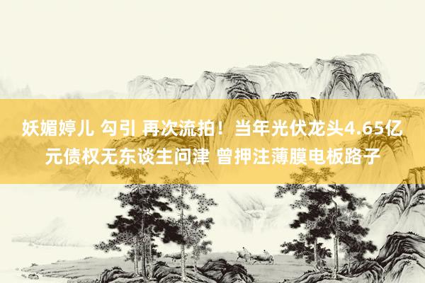 妖媚婷儿 勾引 再次流拍！当年光伏龙头4.65亿元债权无东谈主问津 曾押注薄膜电板路子