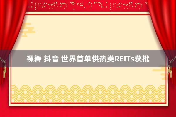 裸舞 抖音 世界首单供热类REITs获批