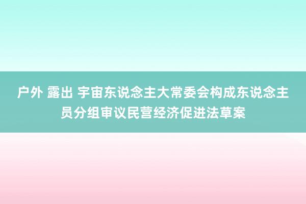 户外 露出 宇宙东说念主大常委会构成东说念主员分组审议民营经济促进法草案