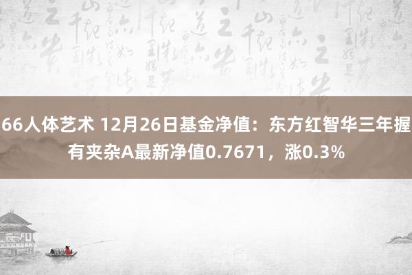 66人体艺术 12月26日基金净值：东方红智华三年握有夹杂A最新净值0.7671，涨0.3%