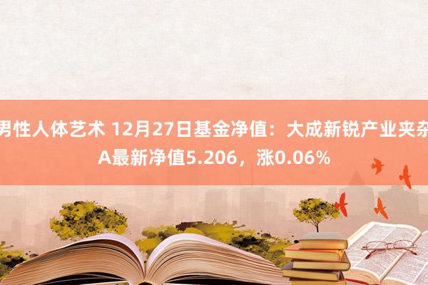 男性人体艺术 12月27日基金净值：大成新锐产业夹杂A最新净值5.206，涨0.06%