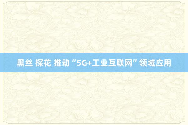 黑丝 探花 推动“5G+工业互联网”领域应用