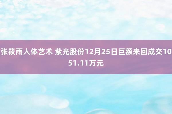 张筱雨人体艺术 紫光股份12月25日巨额来回成交1051.11万元