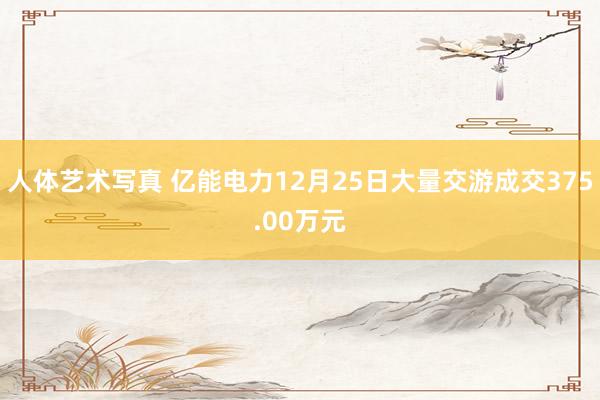 人体艺术写真 亿能电力12月25日大量交游成交375.00万元