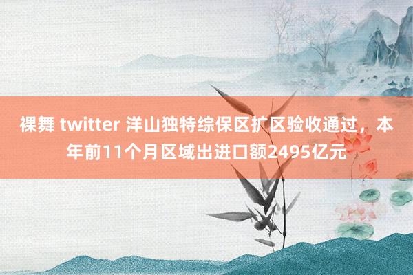 裸舞 twitter 洋山独特综保区扩区验收通过，本年前11个月区域出进口额2495亿元