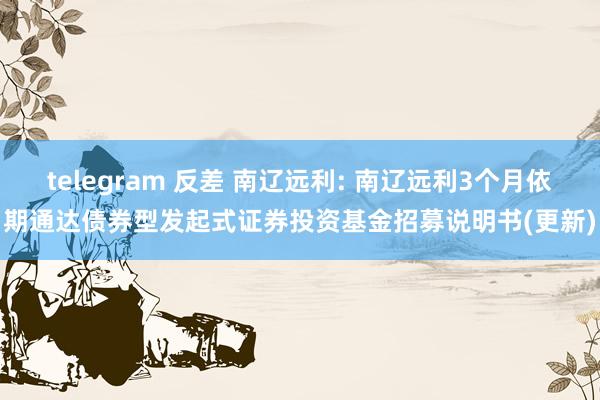 telegram 反差 南辽远利: 南辽远利3个月依期通达债券型发起式证券投资基金招募说明书(更新)