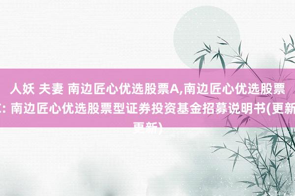 人妖 夫妻 南边匠心优选股票A,南边匠心优选股票C: 南边匠心优选股票型证券投资基金招募说明书(更新)