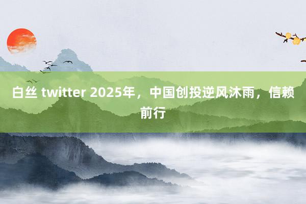 白丝 twitter 2025年，中国创投逆风沐雨，信赖前行