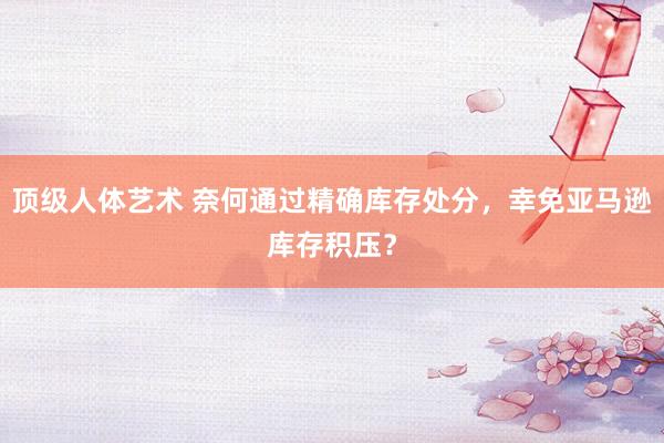 顶级人体艺术 奈何通过精确库存处分，幸免亚马逊库存积压？