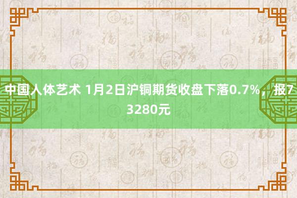 中国人体艺术 1月2日沪铜期货收盘下落0.7%，报73280元