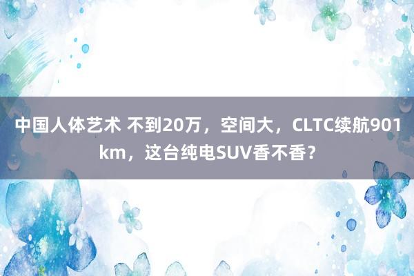 中国人体艺术 不到20万，空间大，CLTC续航901km，这台纯电SUV香不香？