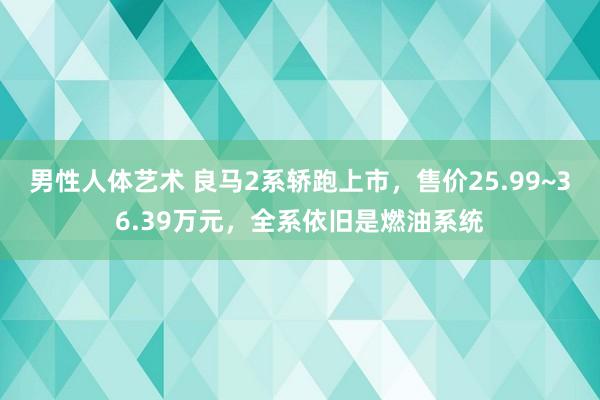 男性人体艺术 良马2系轿跑上市，售价25.99~36.39万元，全系依旧是燃油系统