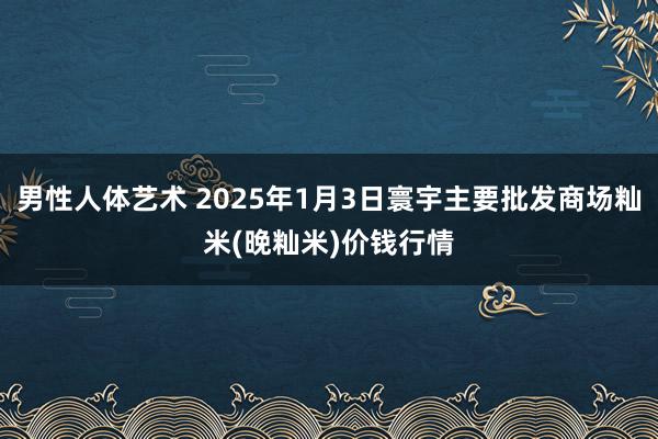 男性人体艺术 2025年1月3日寰宇主要批发商场籼米(晚籼米)价钱行情