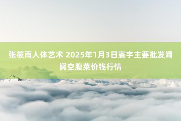 张筱雨人体艺术 2025年1月3日寰宇主要批发阛阓空腹菜价钱行情
