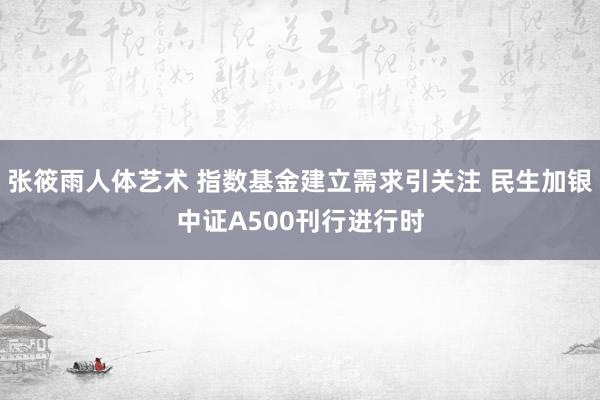 张筱雨人体艺术 指数基金建立需求引关注 民生加银中证A500刊行进行时