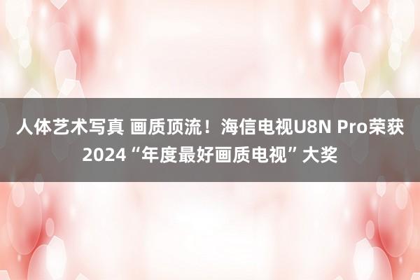 人体艺术写真 画质顶流！海信电视U8N Pro荣获2024“年度最好画质电视”大奖