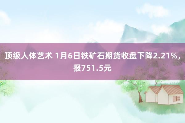 顶级人体艺术 1月6日铁矿石期货收盘下降2.21%，报751.5元
