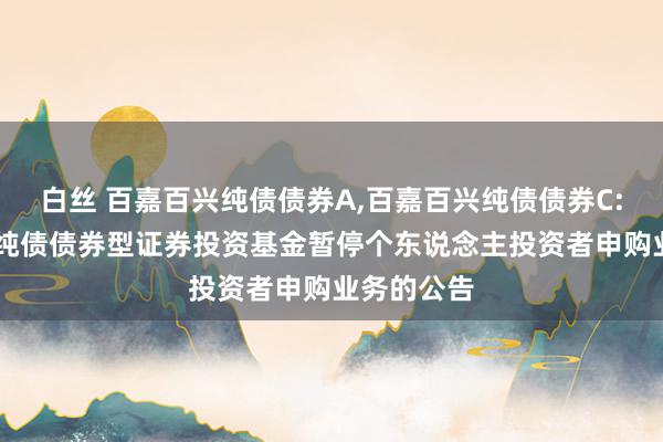 白丝 百嘉百兴纯债债券A,百嘉百兴纯债债券C: 百嘉百兴纯债债券型证券投资基金暂停个东说念主投资者申购业务的公告