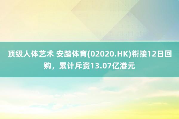 顶级人体艺术 安踏体育(02020.HK)衔接12日回购，累计斥资13.07亿港元