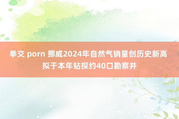 拳交 porn 挪威2024年自然气销量创历史新高 拟于本年钻探约40口勘察井