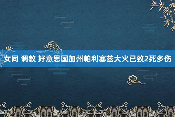 女同 调教 好意思国加州帕利塞兹大火已致2死多伤