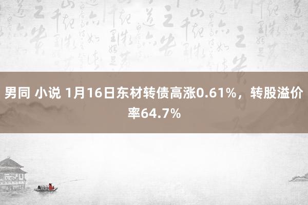 男同 小说 1月16日东材转债高涨0.61%，转股溢价率64.7%