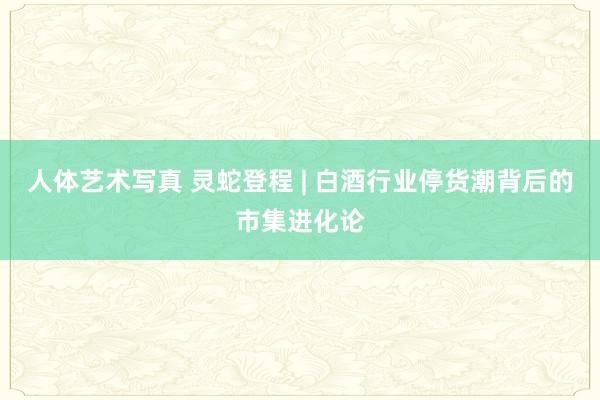 人体艺术写真 灵蛇登程 | 白酒行业停货潮背后的市集进化论