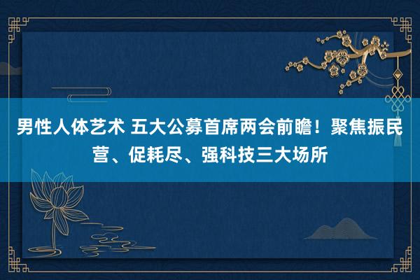 男性人体艺术 五大公募首席两会前瞻！聚焦振民营、促耗尽、强科技三大场所