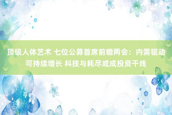 顶级人体艺术 七位公募首席前瞻两会：内需驱动可持续增长 科技与耗尽或成投资干线