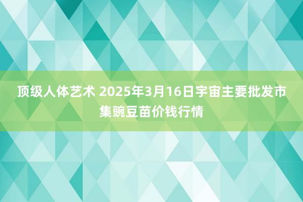 顶级人体艺术 2025年3月16日宇宙主要批发市集豌豆苗价钱行情