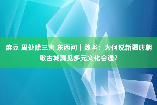 麻豆 周处除三害 东西问｜魏坚：为何说新疆唐朝墩古城洞见多元文化会通？