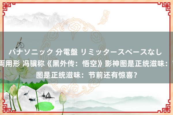 パナソニック 分電盤 リミッタースペースなし 露出・半埋込両用形 冯骥称《黑外传：悟空》影神图是正统滋味：节前还有惊喜？