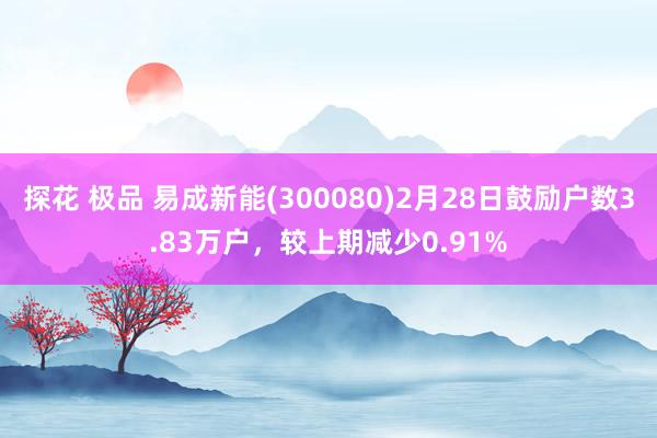 探花 极品 易成新能(300080)2月28日鼓励户数3.83万户，较上期减少0.91%