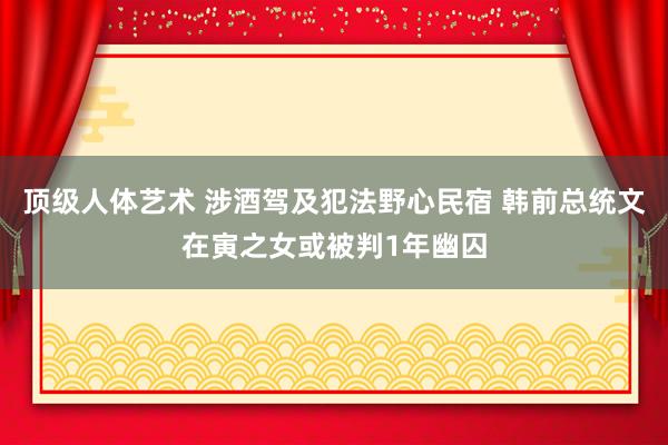 顶级人体艺术 涉酒驾及犯法野心民宿 韩前总统文在寅之女或被判1年幽囚
